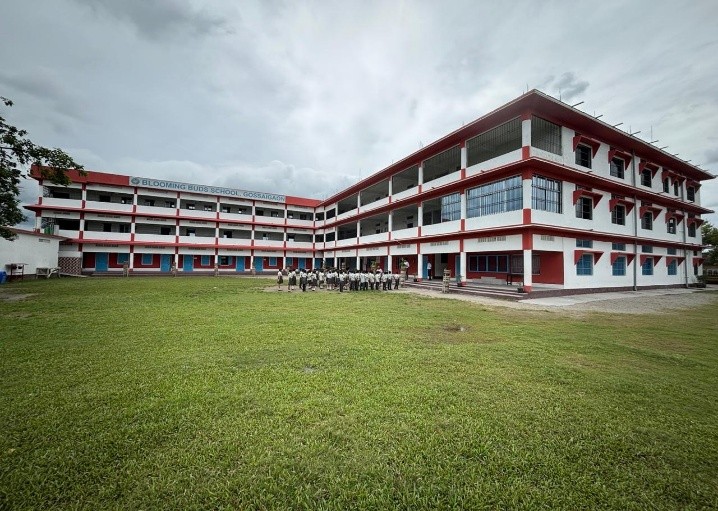 Blooming Bud School 1